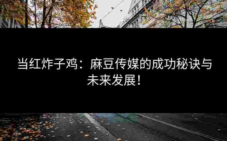 当红炸子鸡：麻豆传媒的成功秘诀与未来发展！
