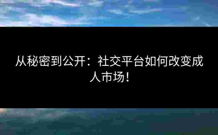 从秘密到公开：社交平台如何改变成人市场！