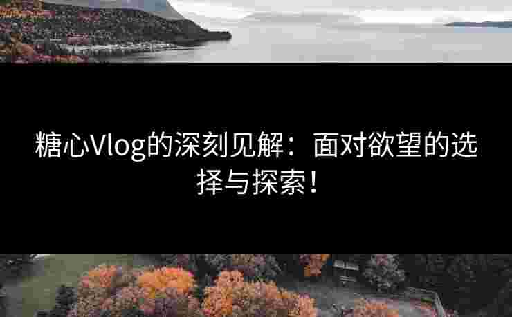 糖心Vlog的深刻见解：面对欲望的选择与探索！